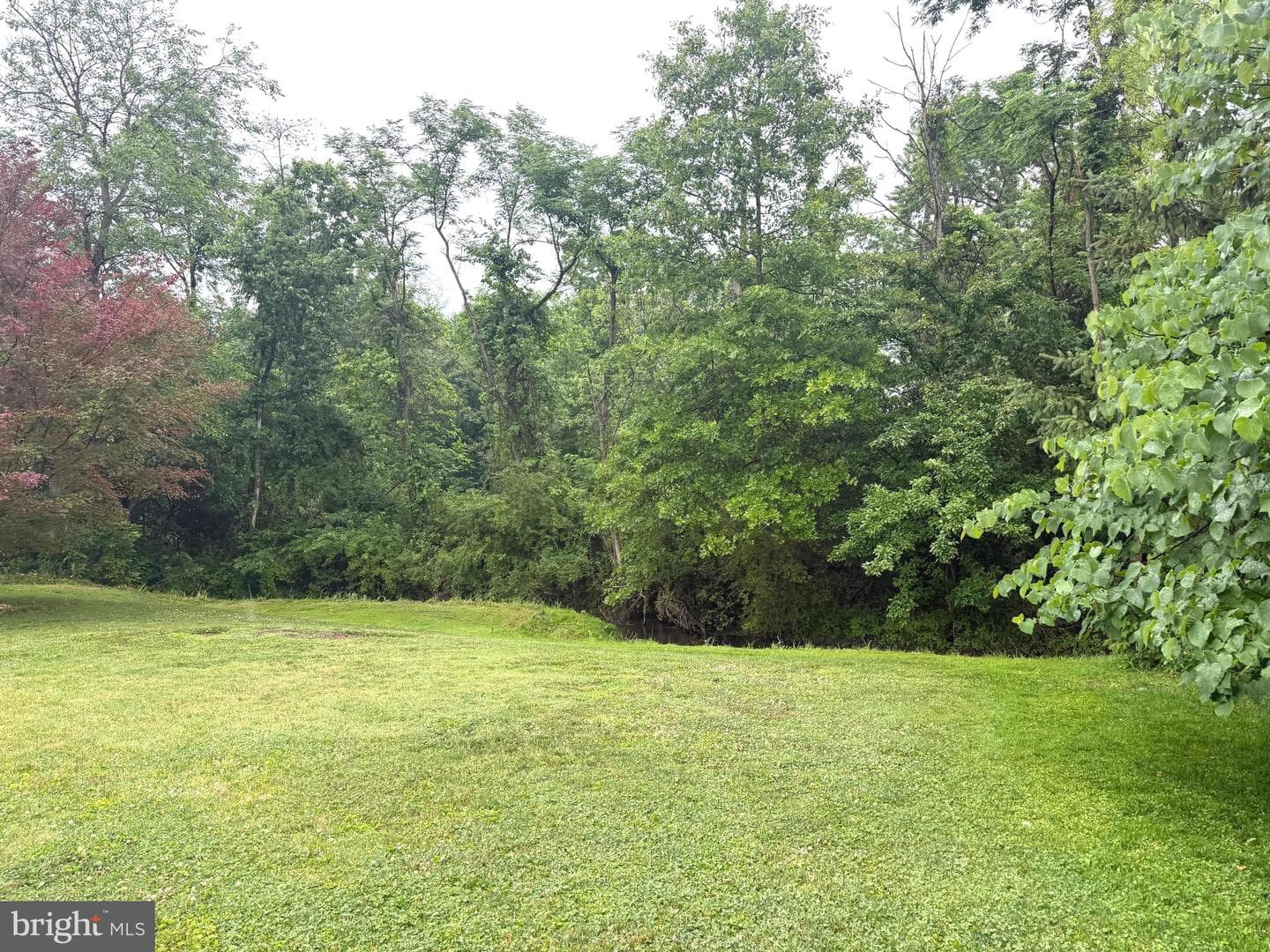 1141 Green Tree Road photo 4