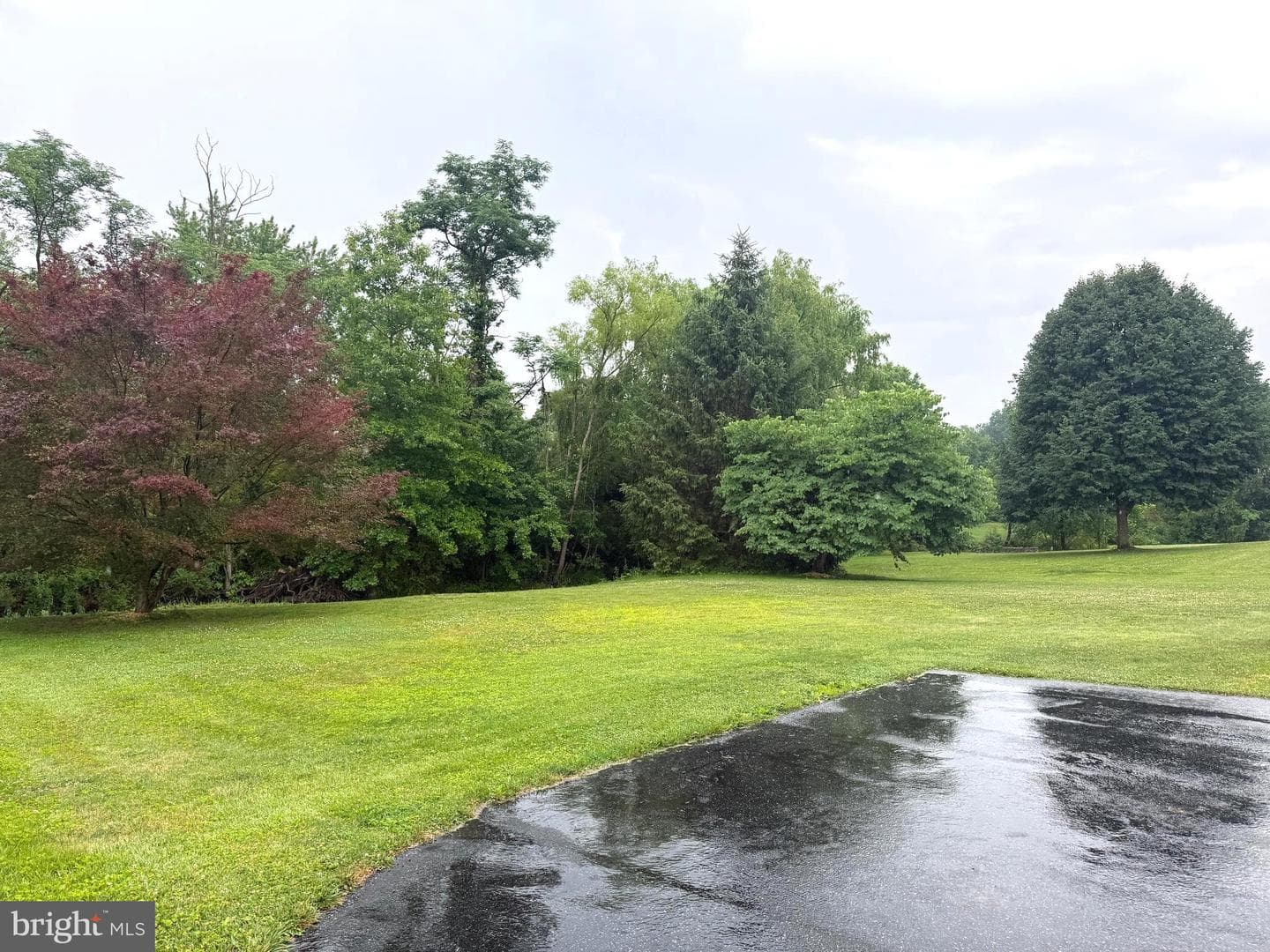 1141 Green Tree Road photo 81