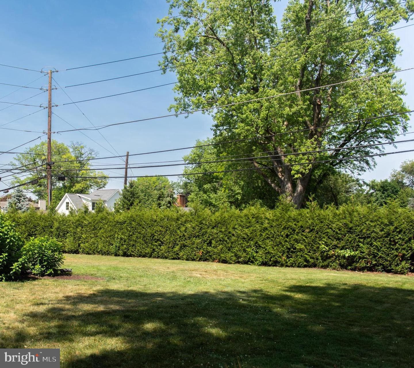 371 Elm Avenue photo 39