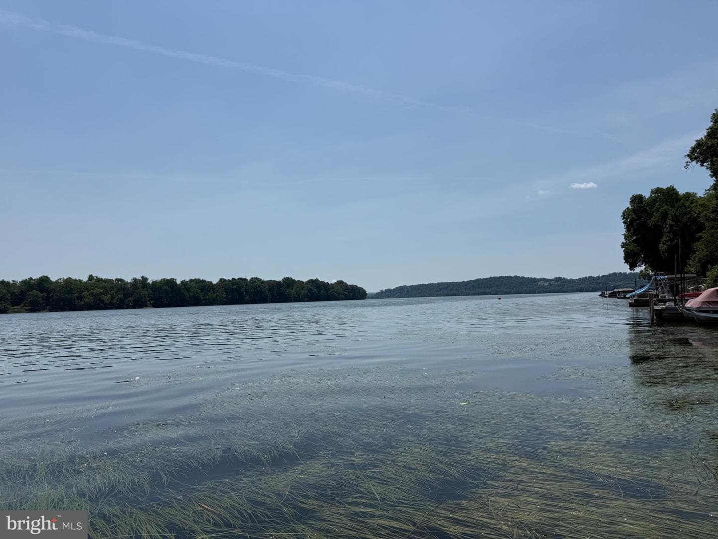 49 Beech Island photo 19