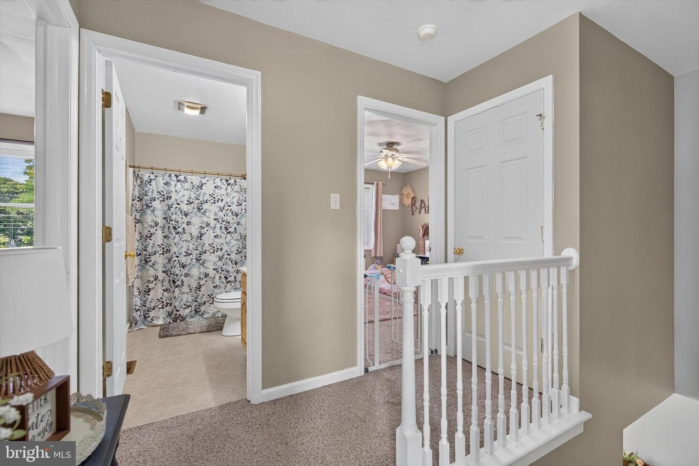 325 Shoop Lane photo 23