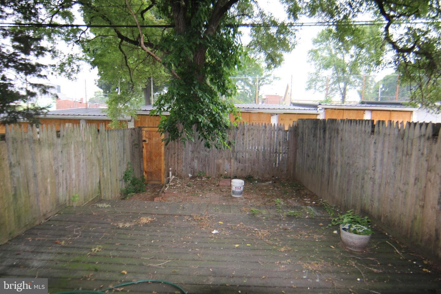 1804 Holly Street photo 6
