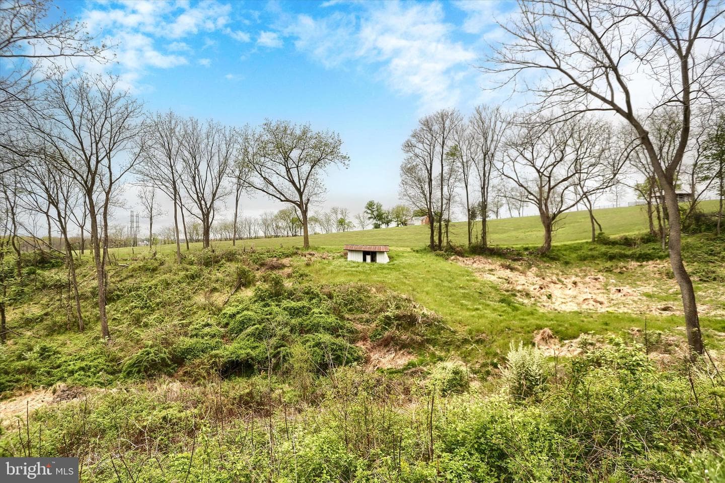 59 Hillymede Road photo 31