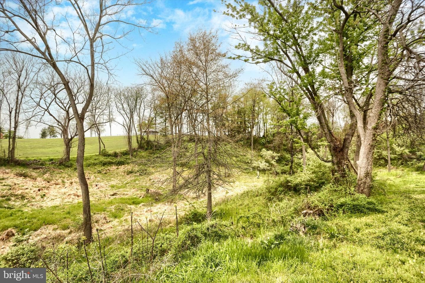 59 Hillymede Road photo 33
