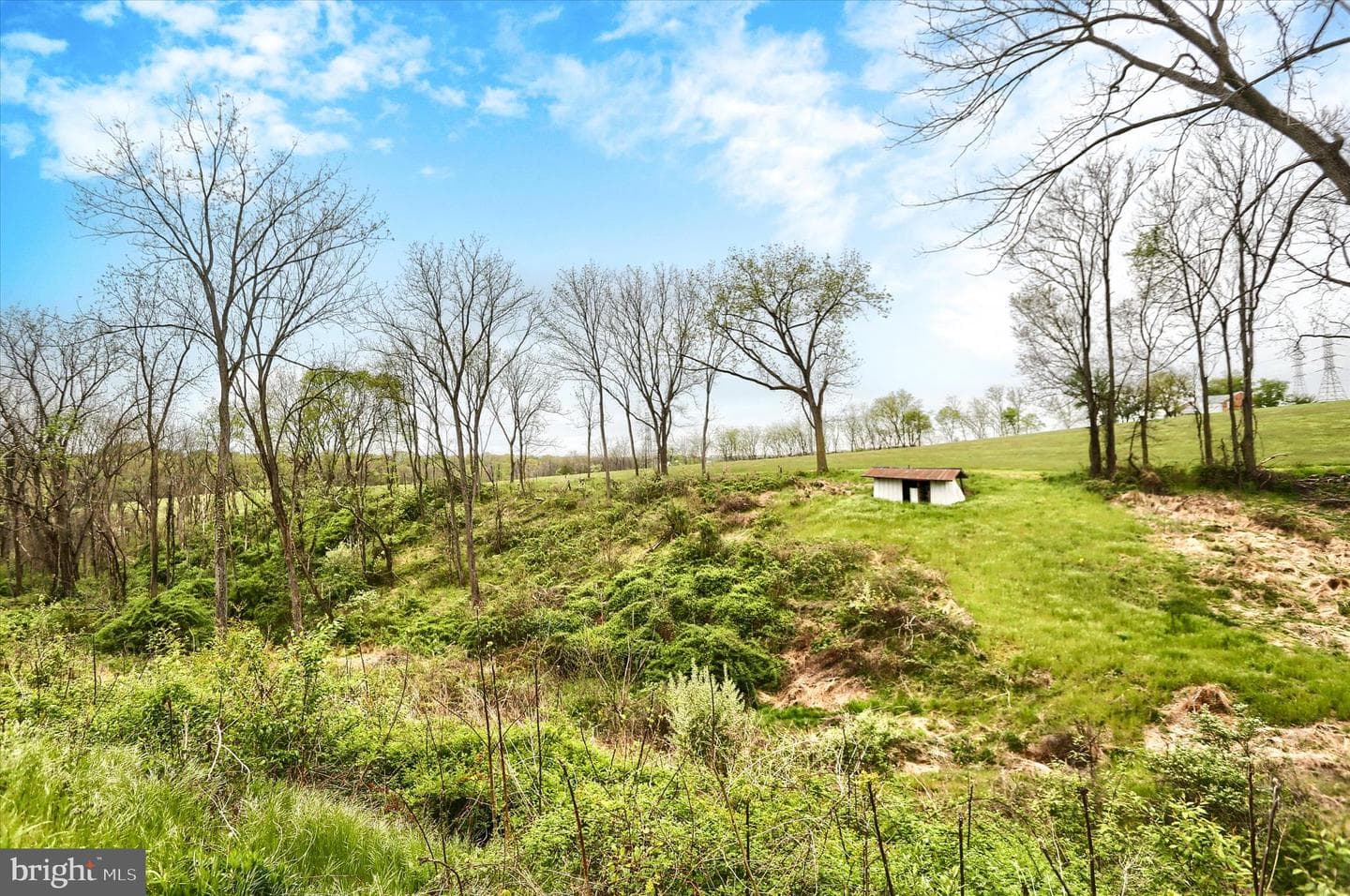 59 Hillymede Road photo 34