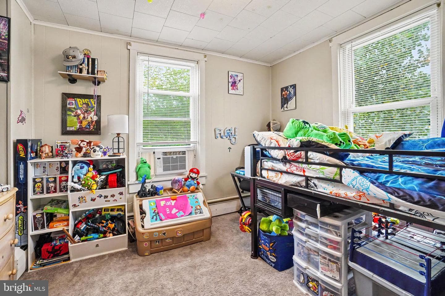 411 Elizabeth Street photo 20