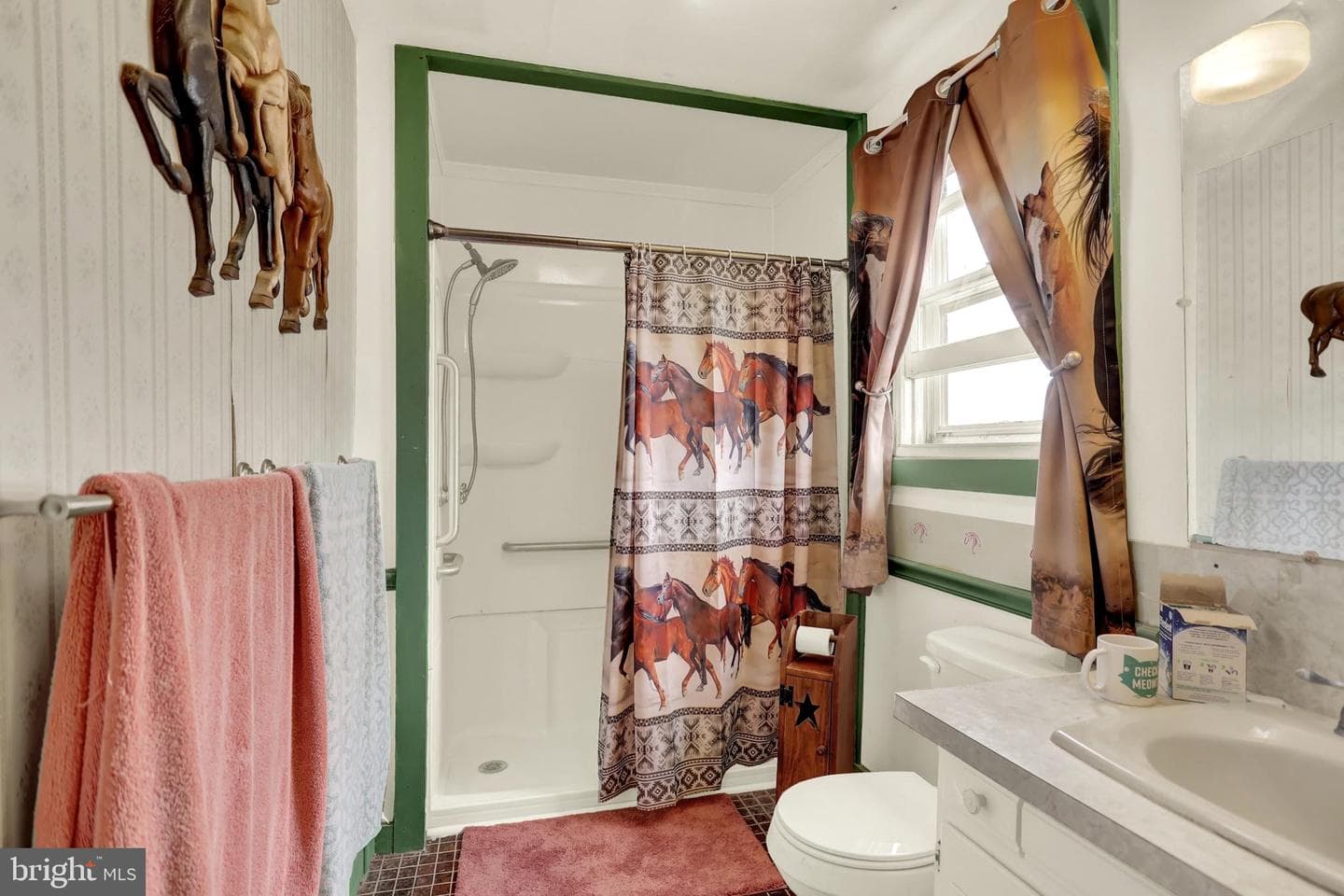 267 Hobby Horse Lane photo 45