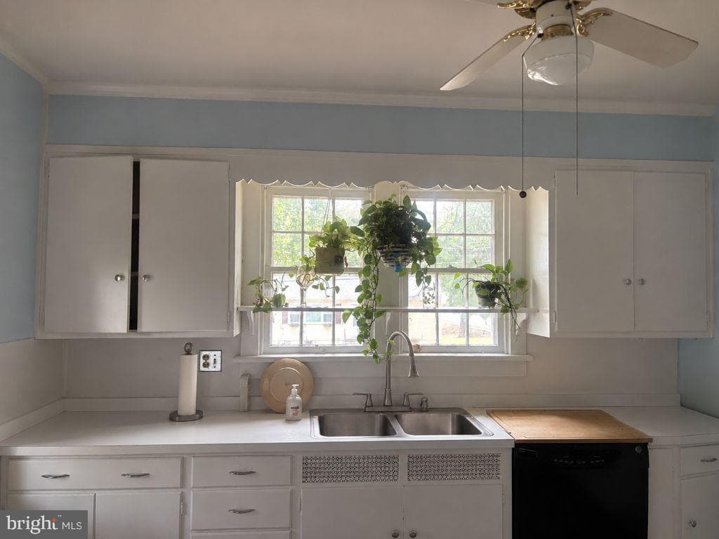54 Wharton Avenue photo 2