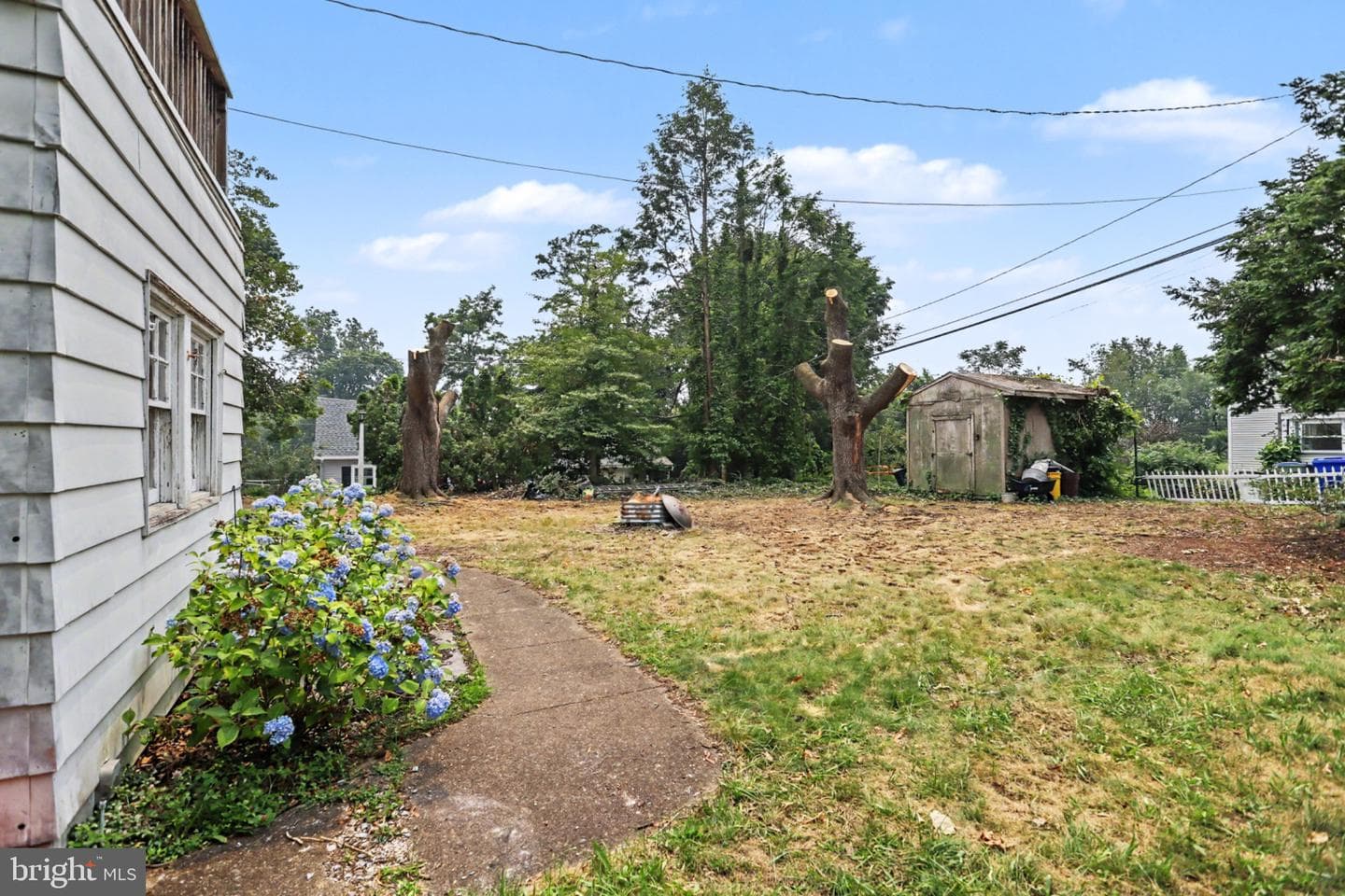 317 Fox Street photo 25