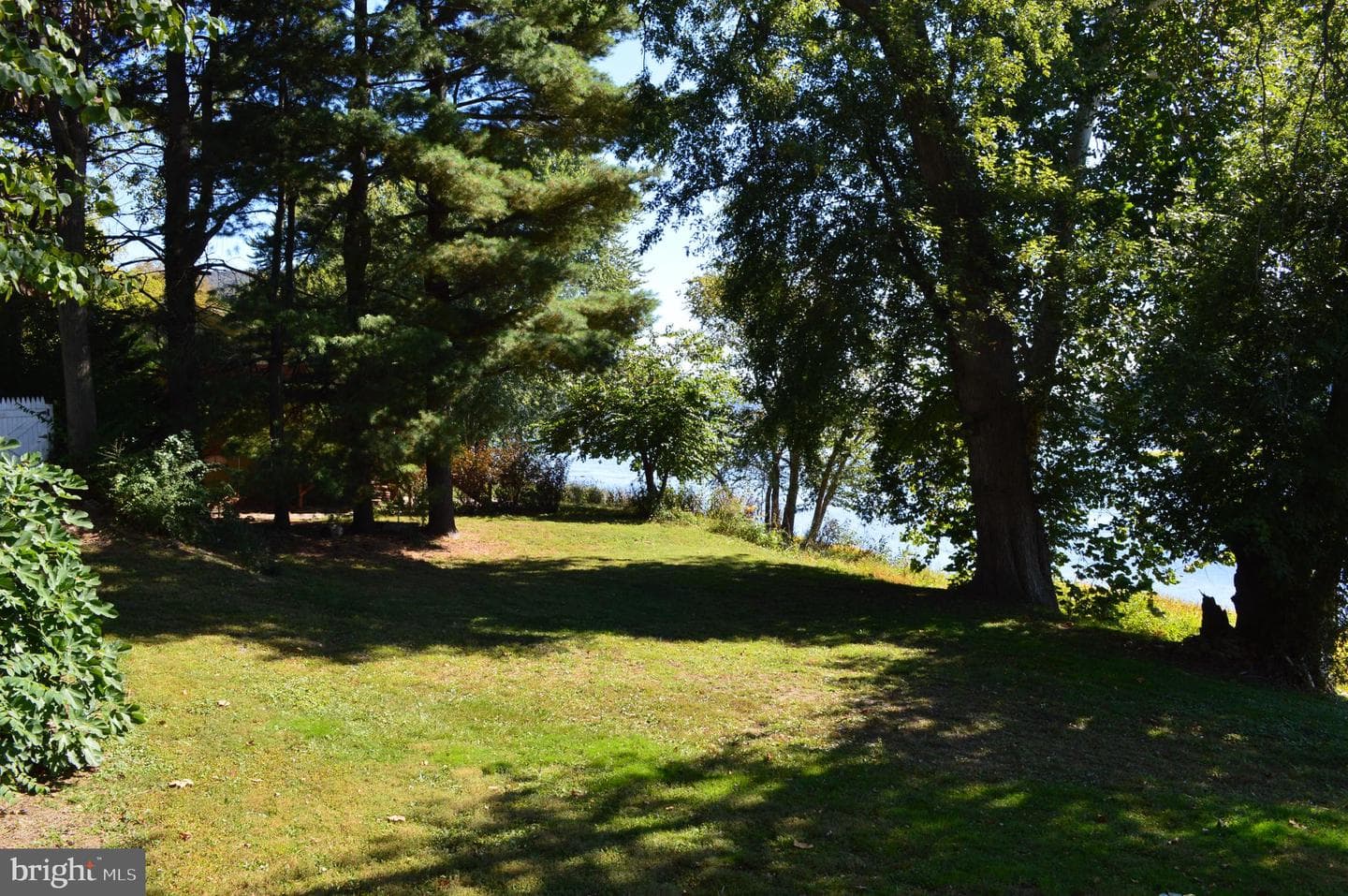 420 River Road photo 5