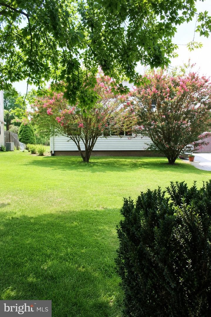 565 Lebo Street photo 8