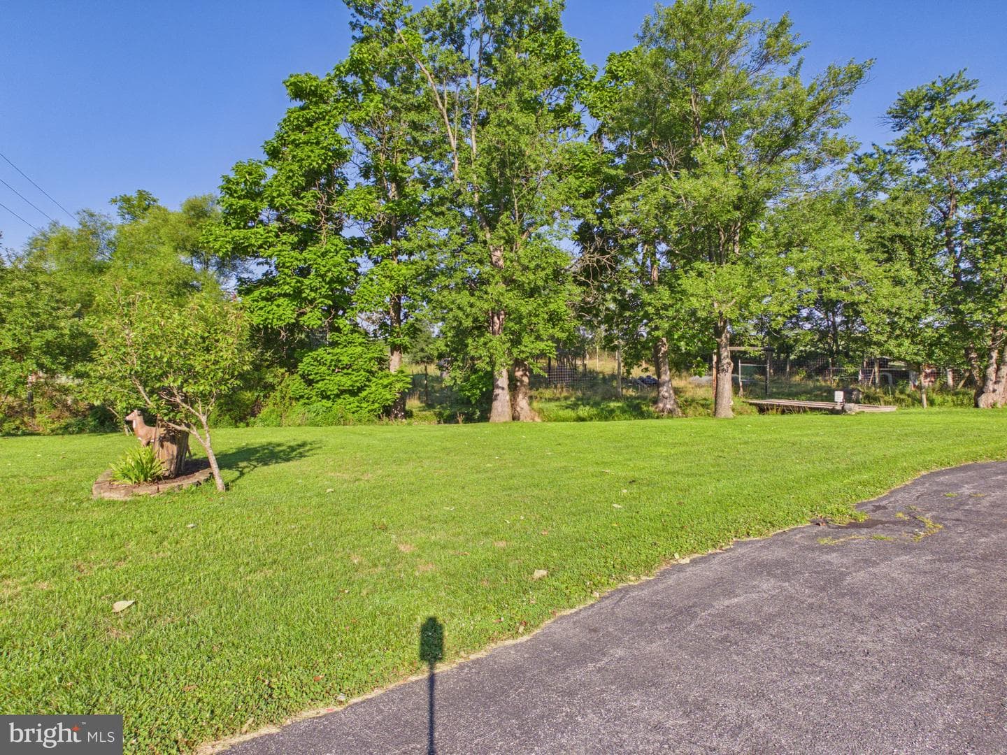 8664 Jonestown Road photo 17