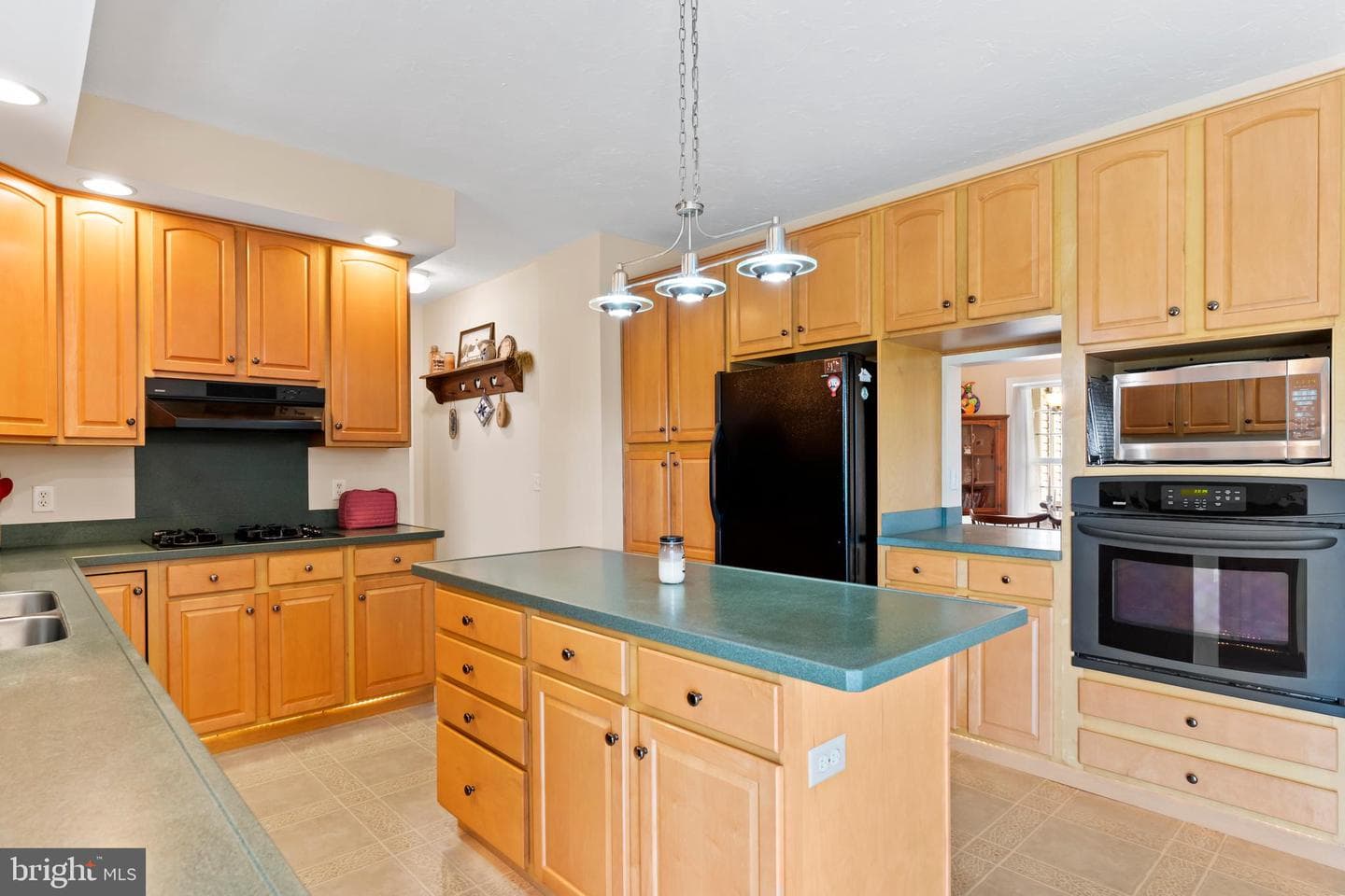 410 Pheasant Road photo 18