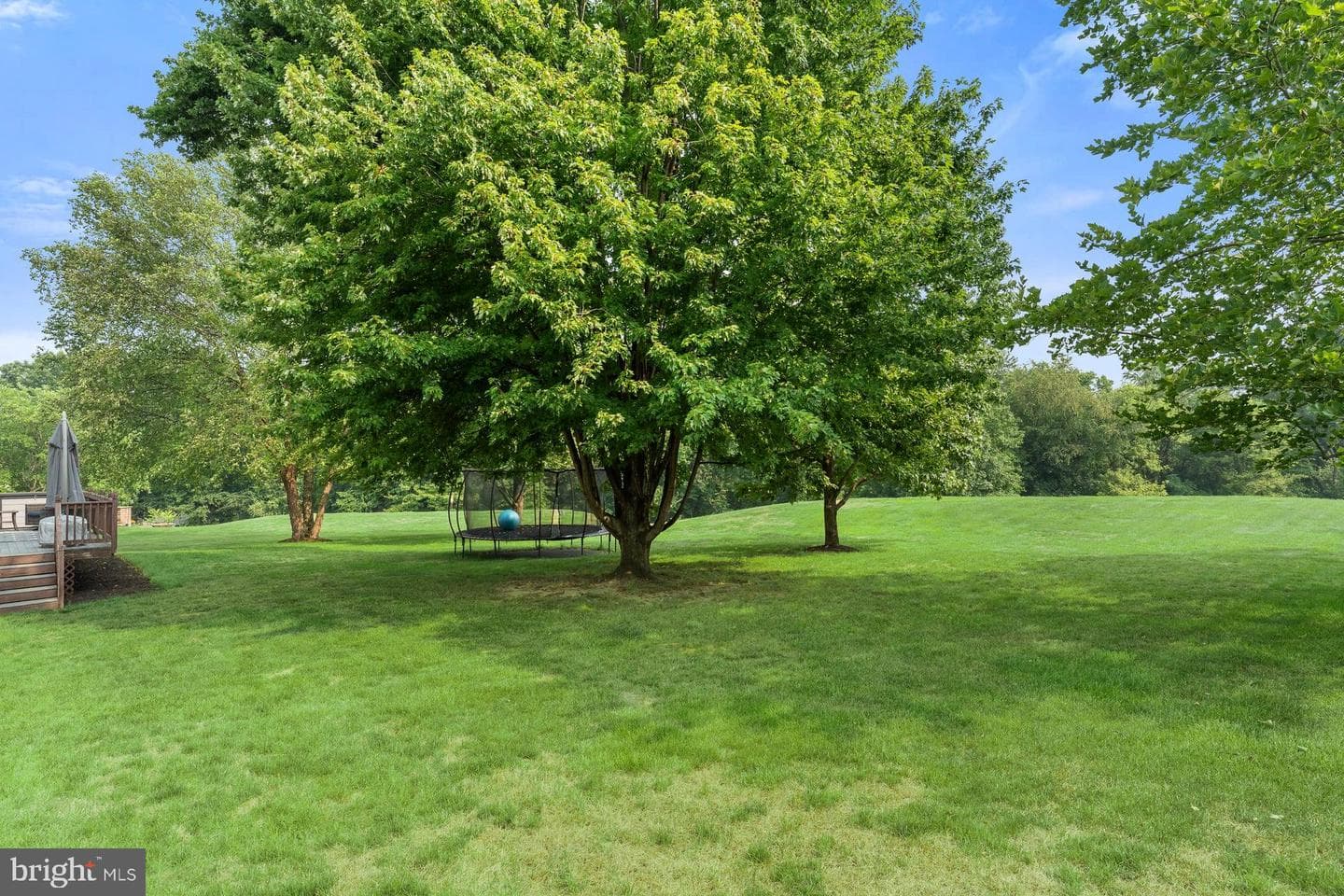 111 Crabapple Court photo 57