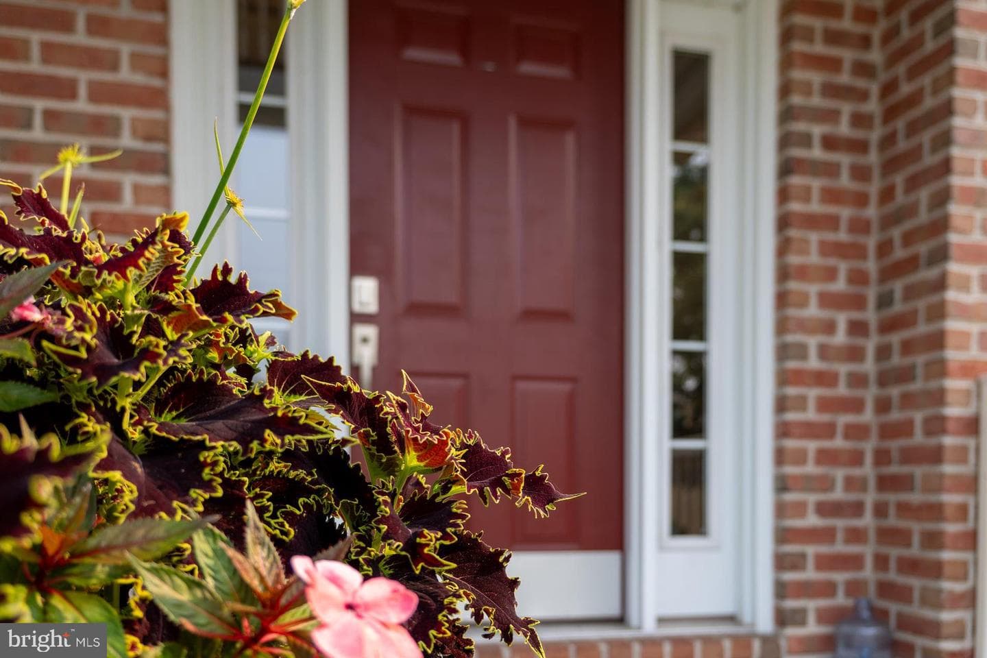 111 Crabapple Court photo 69
