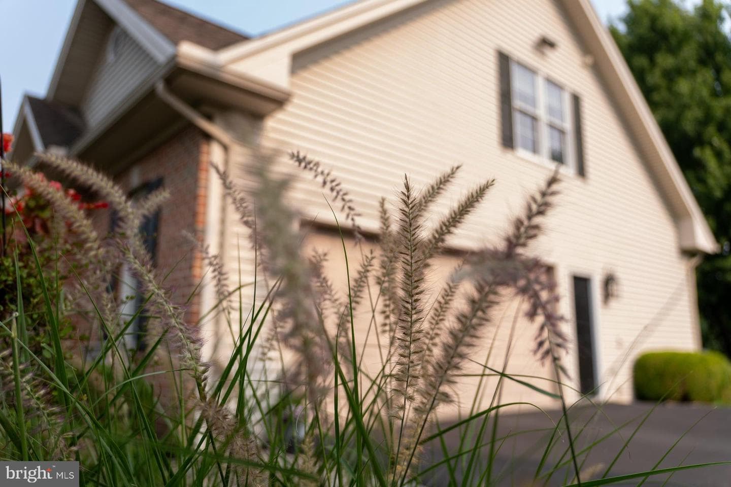 111 Crabapple Court photo 71