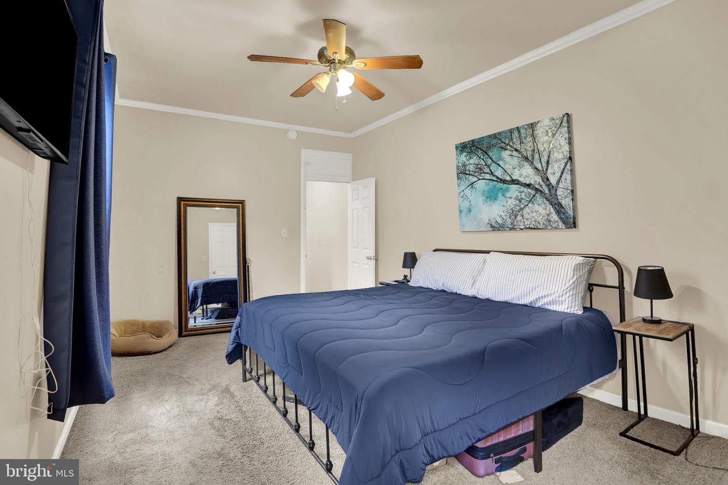 222 Reily Street photo 17