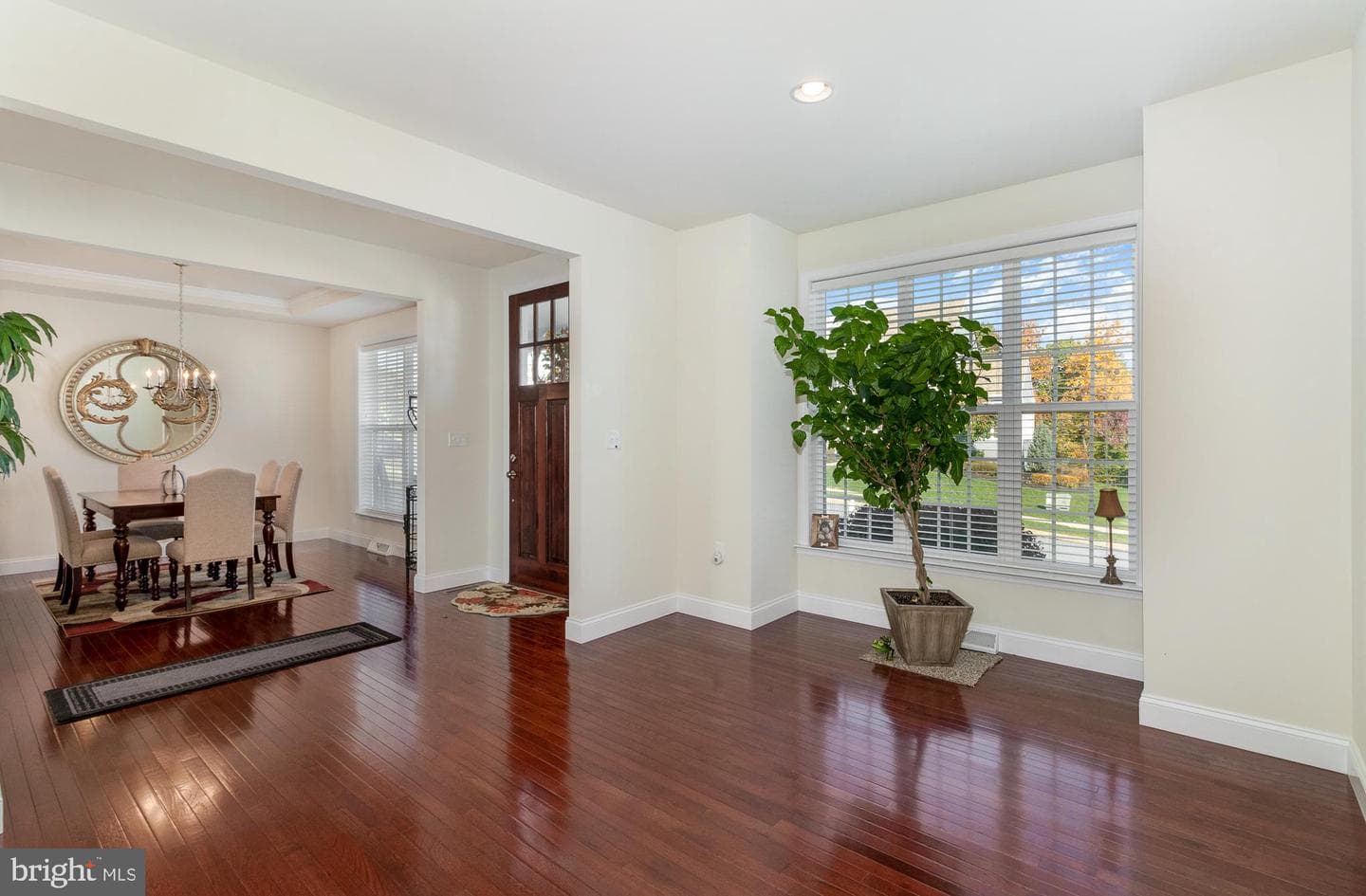 7025 Beech Tree Drive photo 4