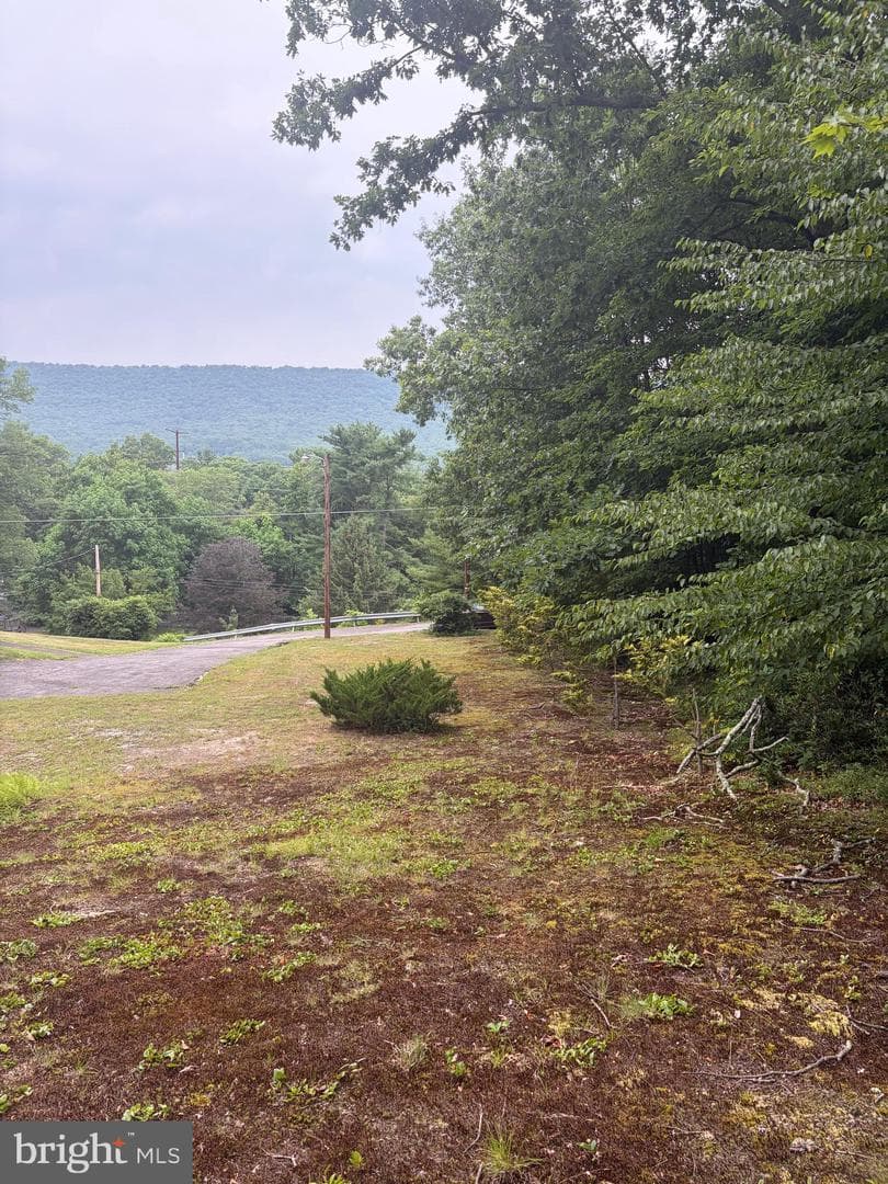 8746 Route 209 photo 3