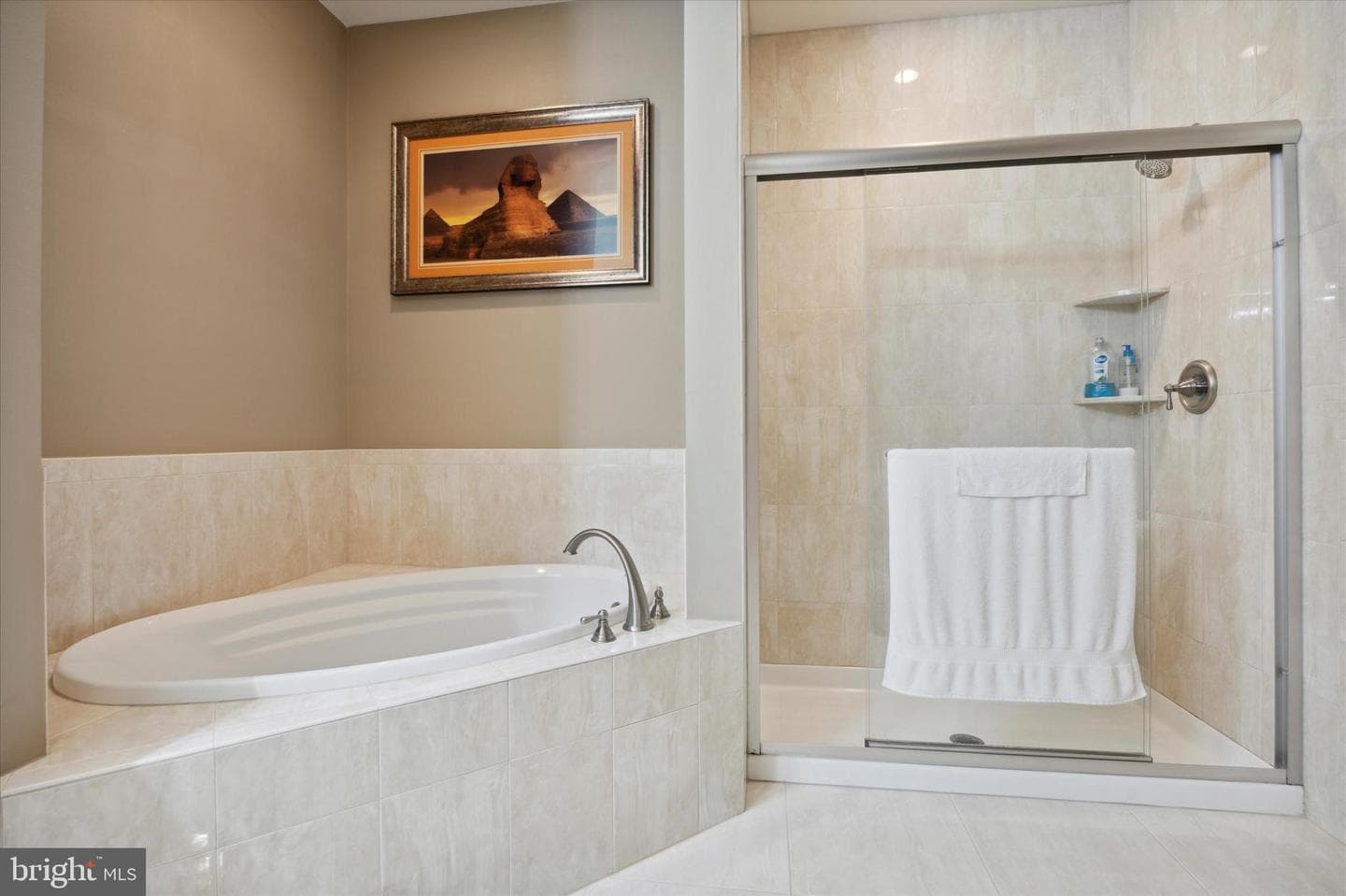 444 Cornerstone Drive #444 photo 21