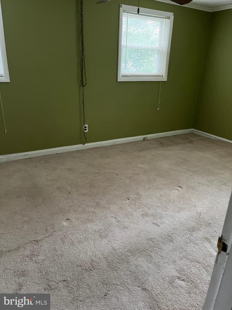 430 Vernon Street photo 6