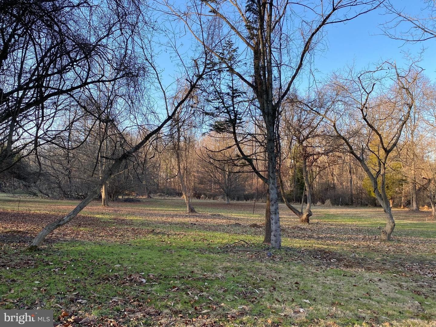 255 Glen Mills Road photo 12