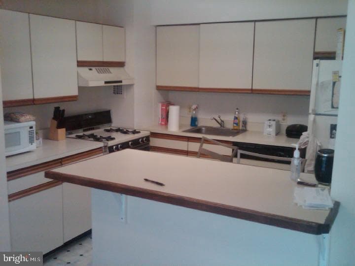 1030 E Lancaster Avenue #1025 photo 20