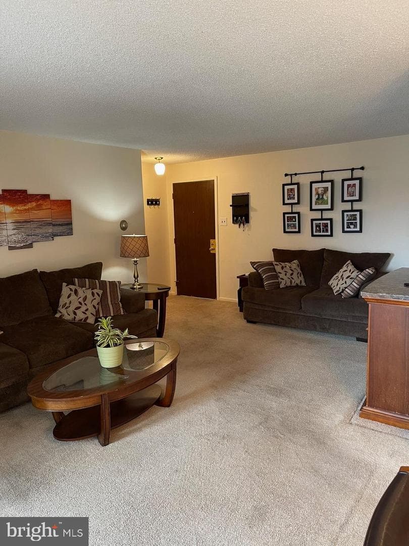 501 N Providence Road #321 photo 10