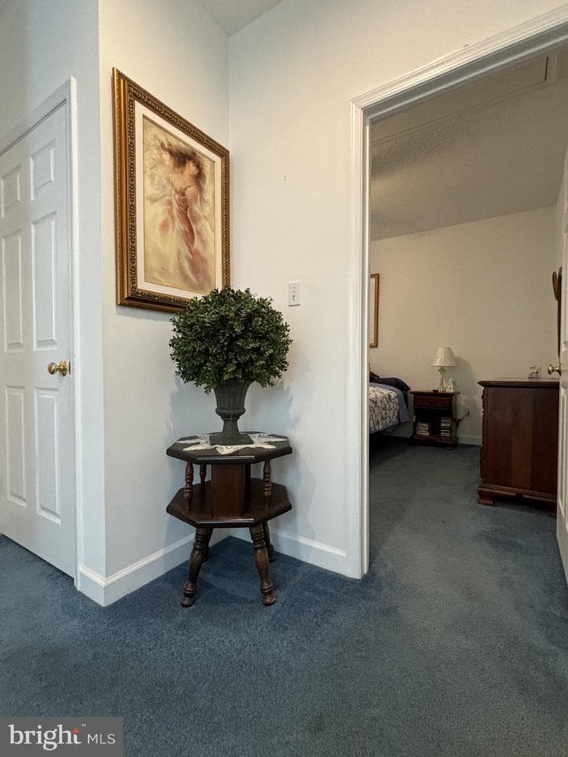 4848 Shepherd Street photo 6