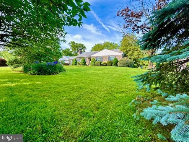 1003 Richmond Road photo 3