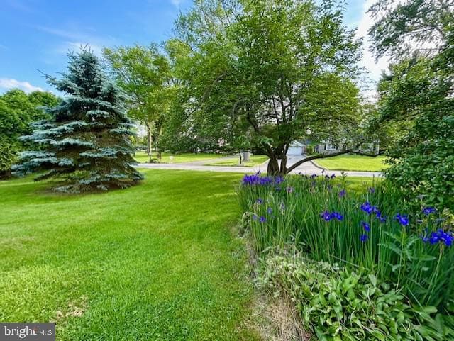 1003 Richmond Road photo 4