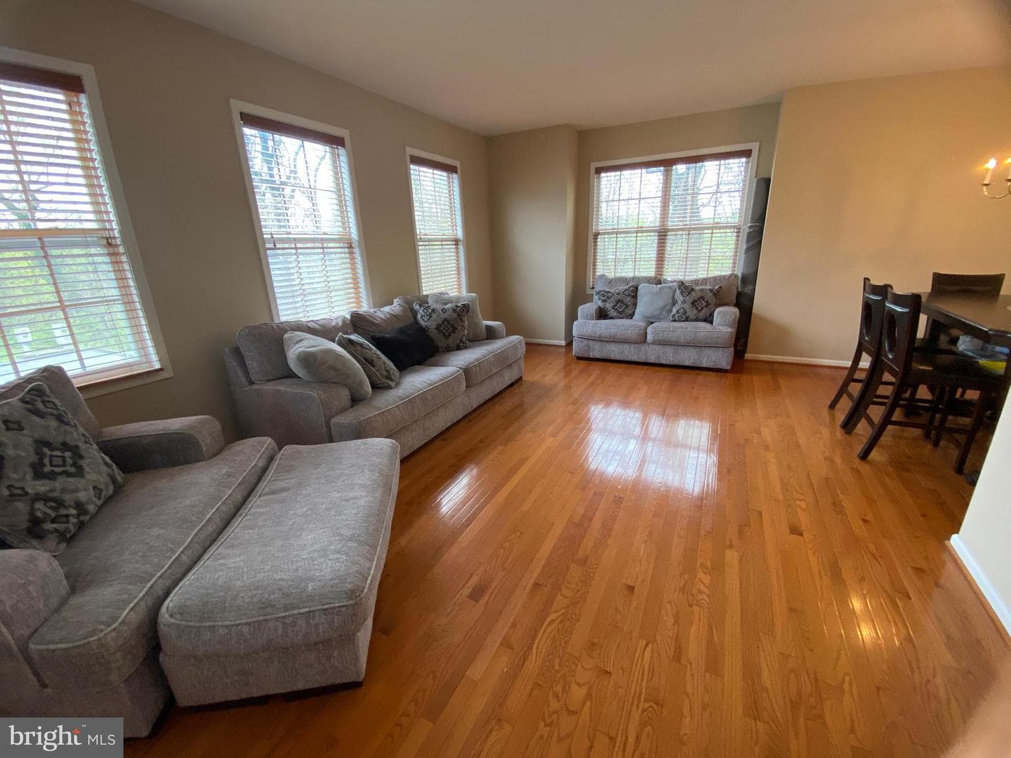 19 Hillview Circle photo 12