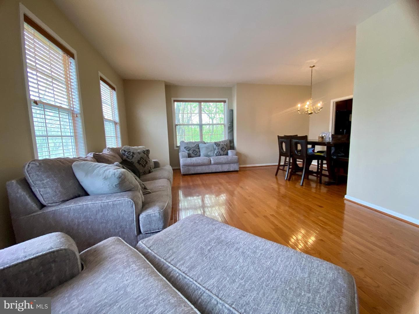 19 Hillview Circle photo 13