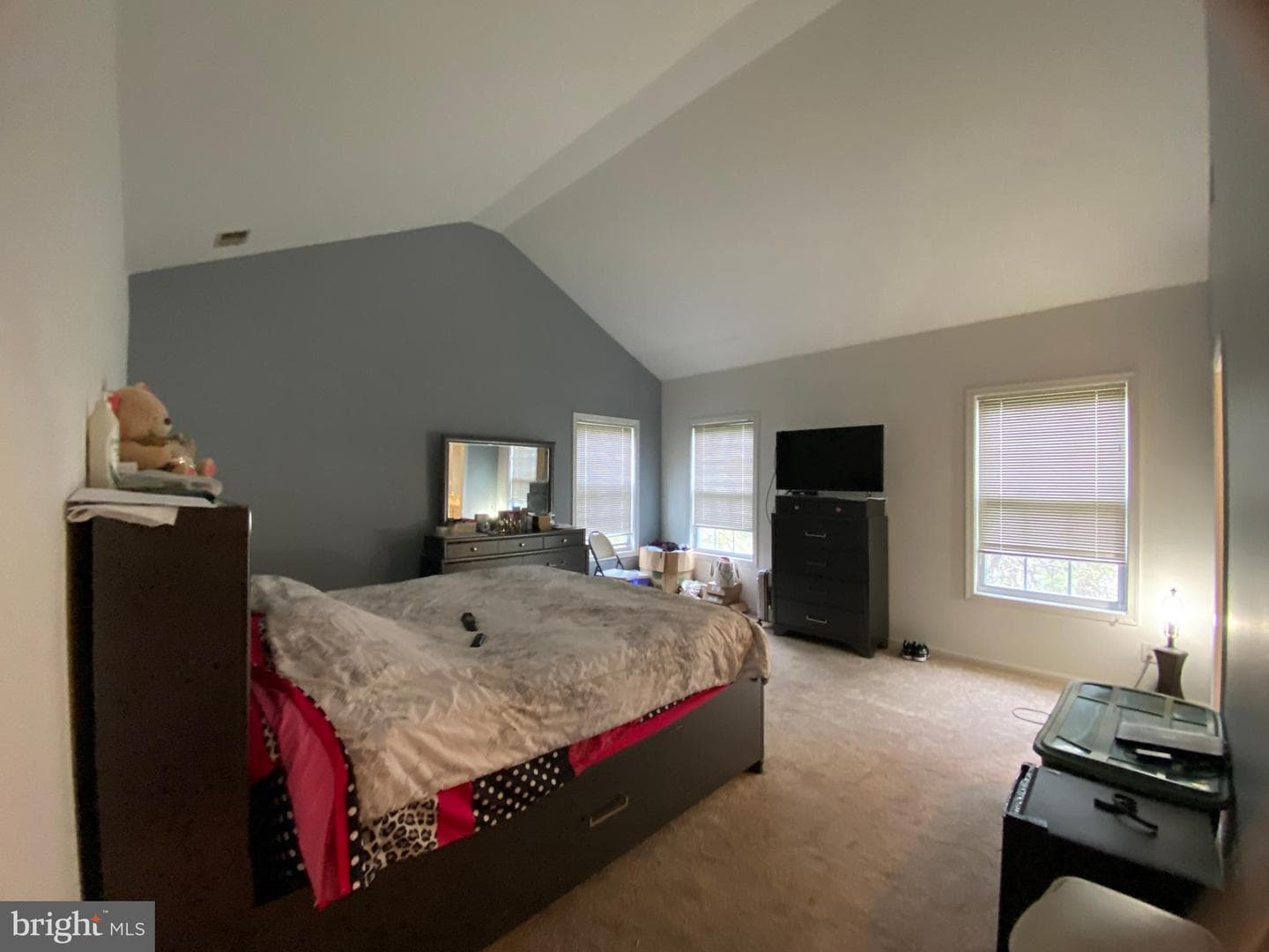 19 Hillview Circle photo 21