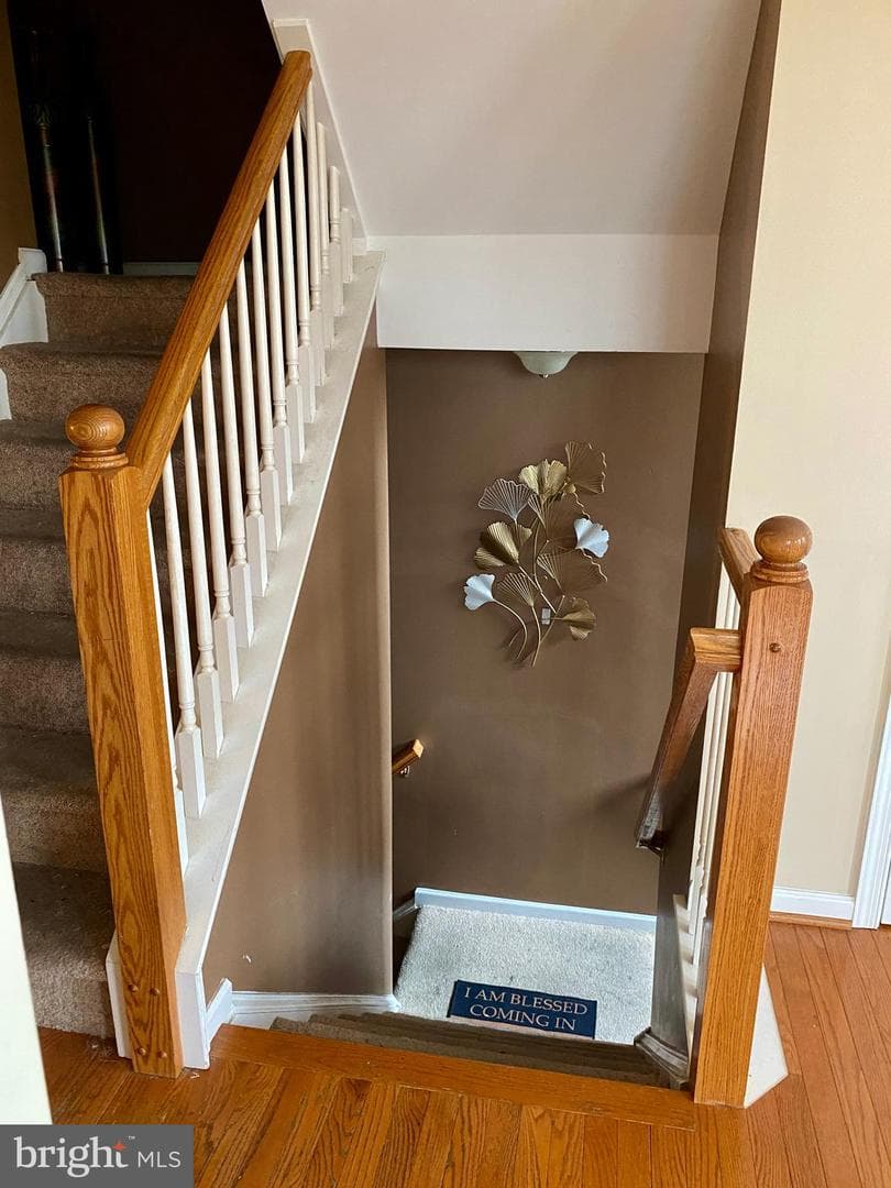 19 Hillview Circle photo 31