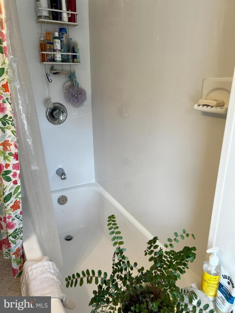662 Rose Street photo 29