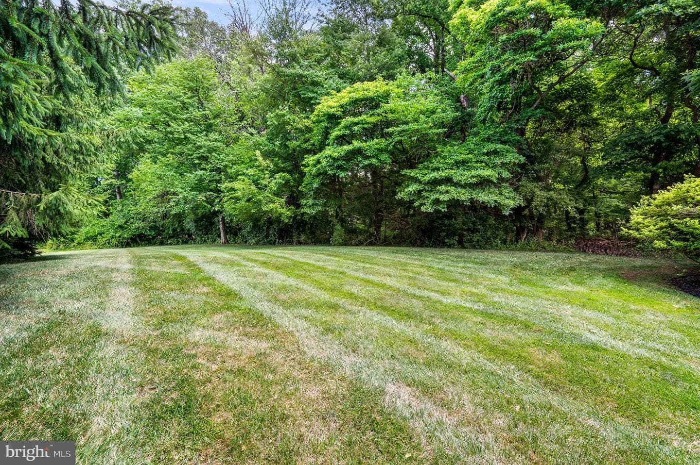 1 Stephen Drive photo 39