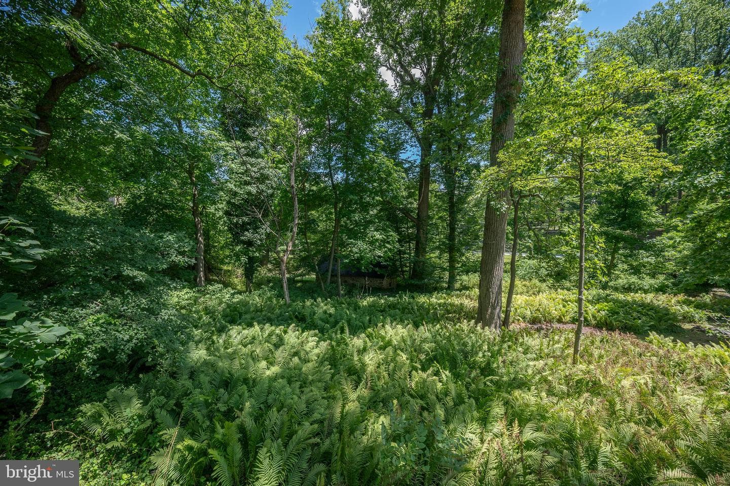 1 Boulder Creek Lane photo 51