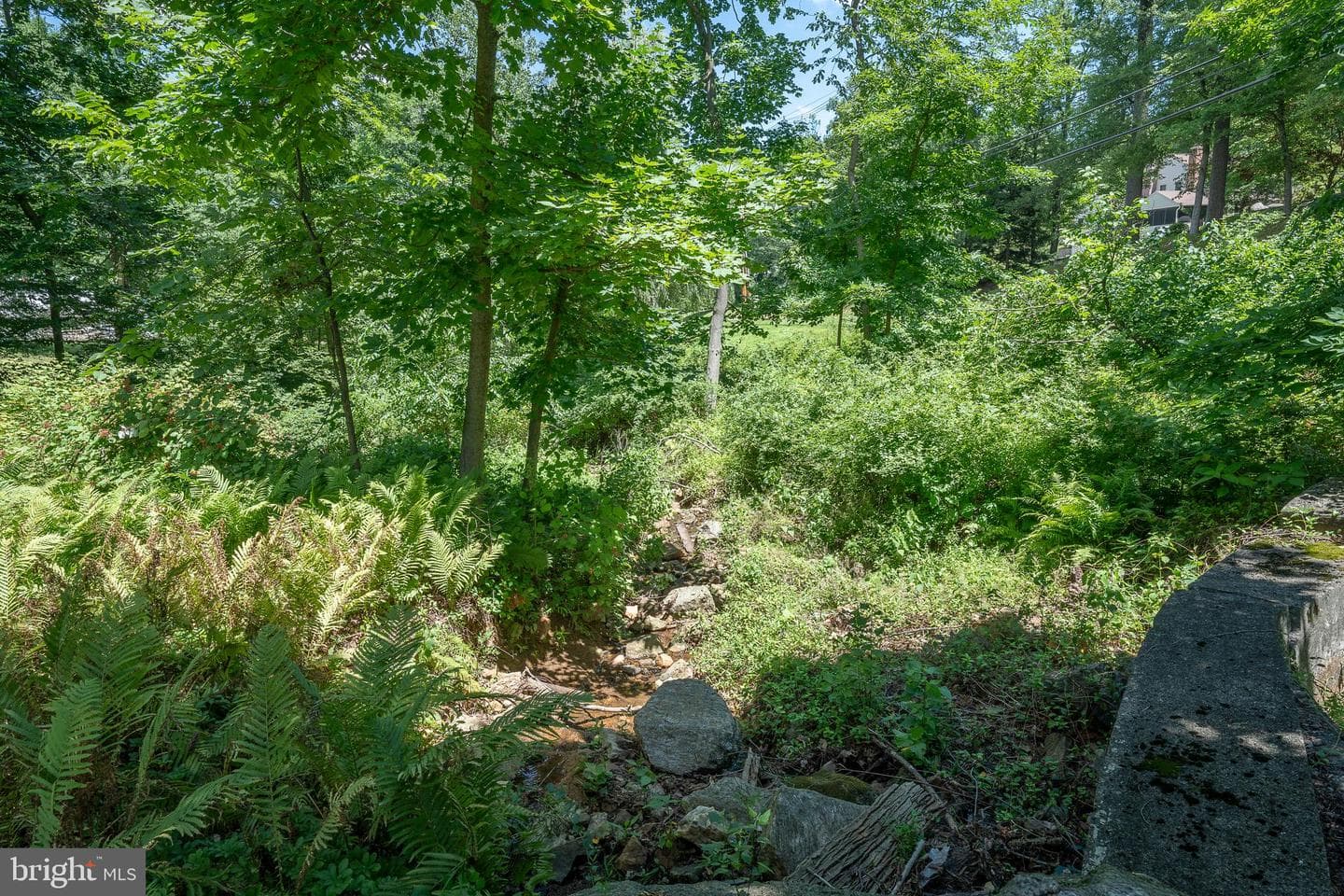 1 Boulder Creek Lane photo 72