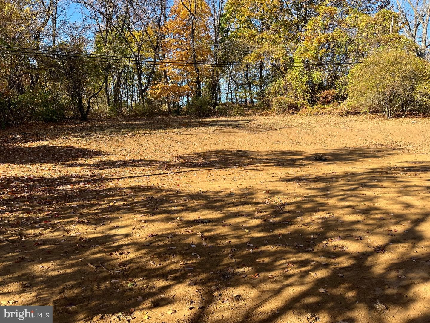 776 Woodlea Road photo 13