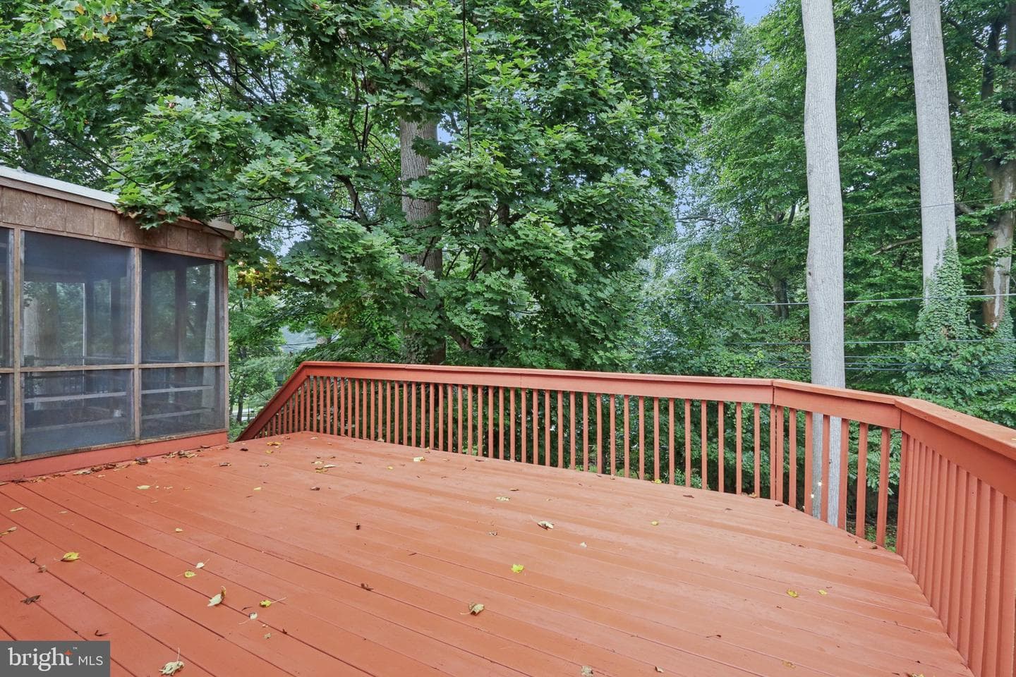 5039 Marvine Avenue photo 45
