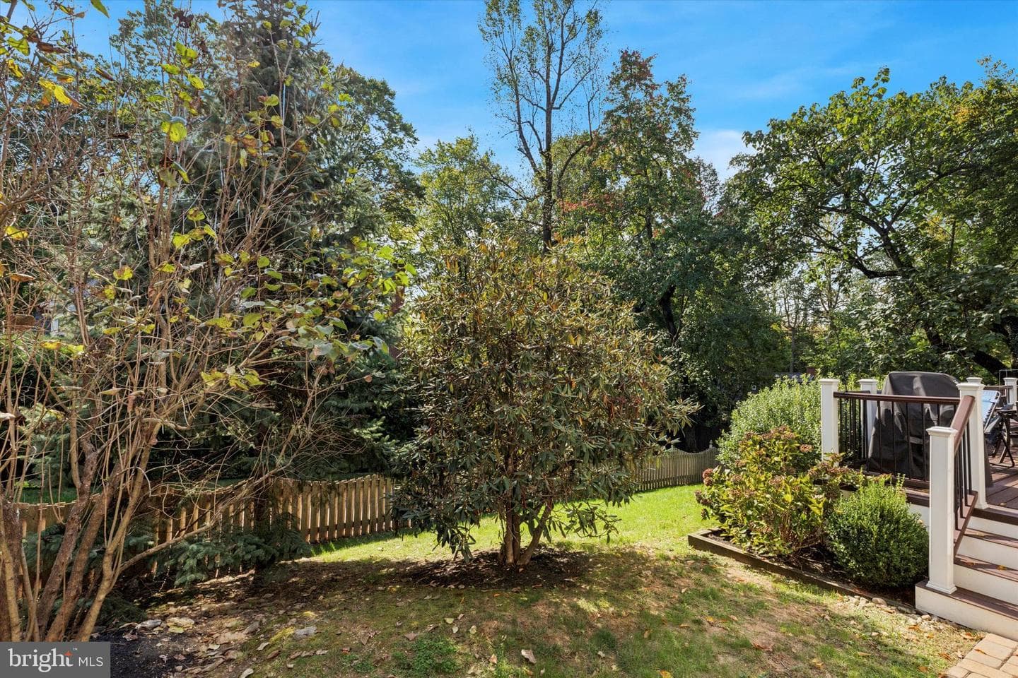 548 N Wayne Avenue photo 52
