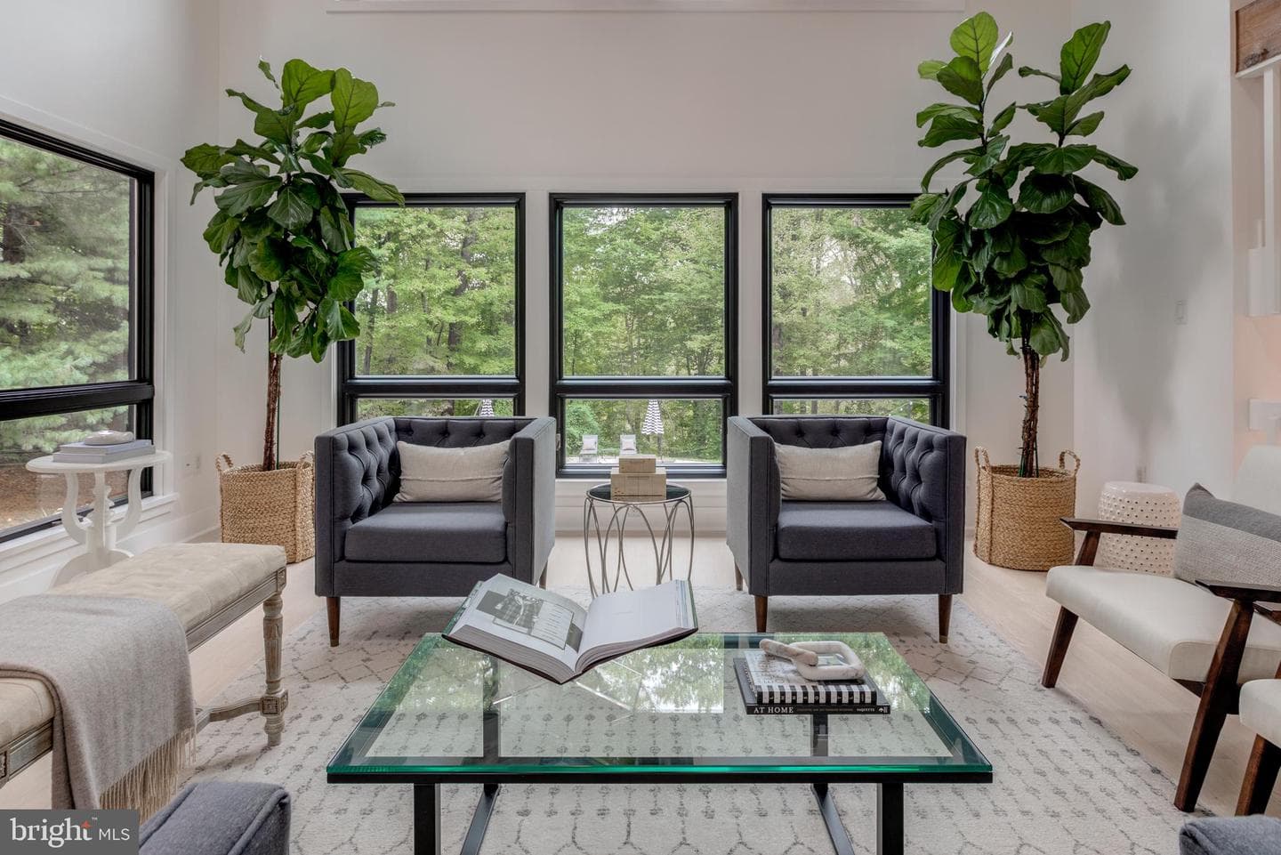 5 Diamond Drive photo 8