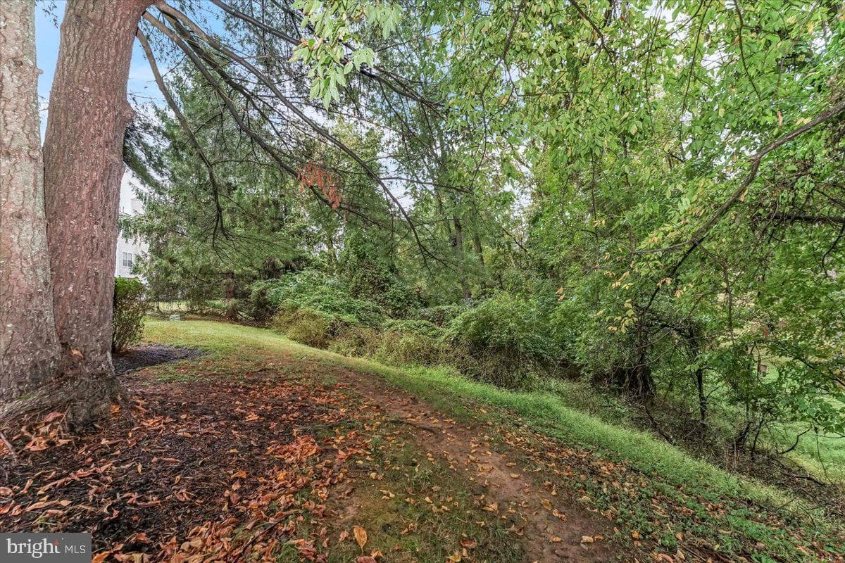 56 Bayberry Court photo 23