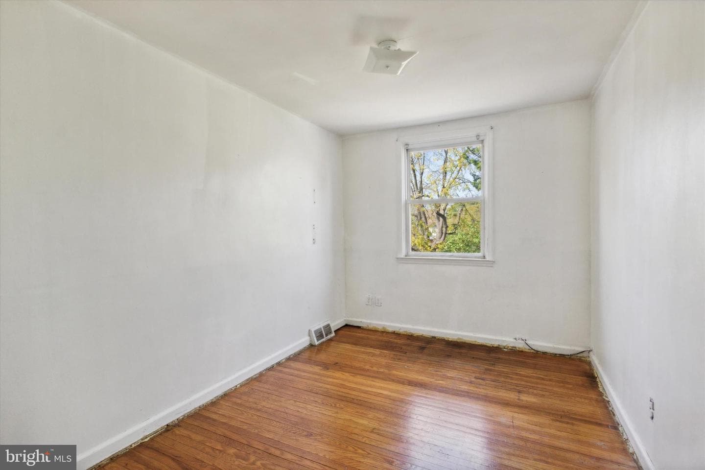 749 Fern Street photo 11