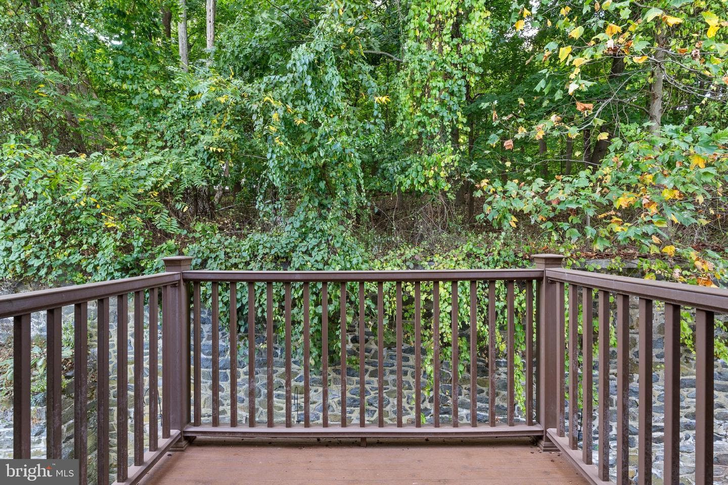 247 Moria Place photo 22