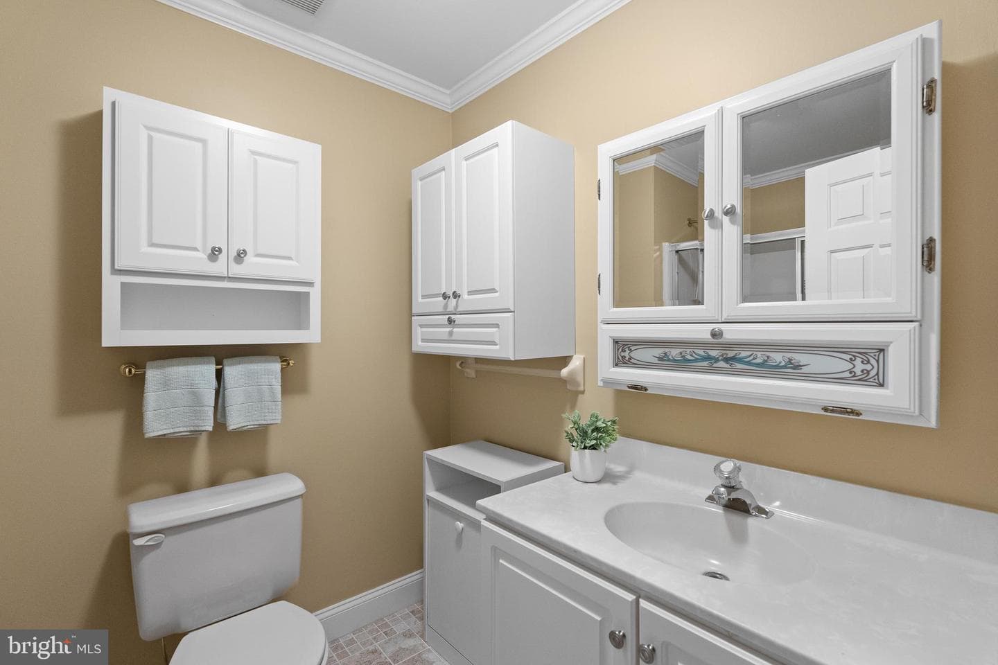 247 Moria Place photo 29