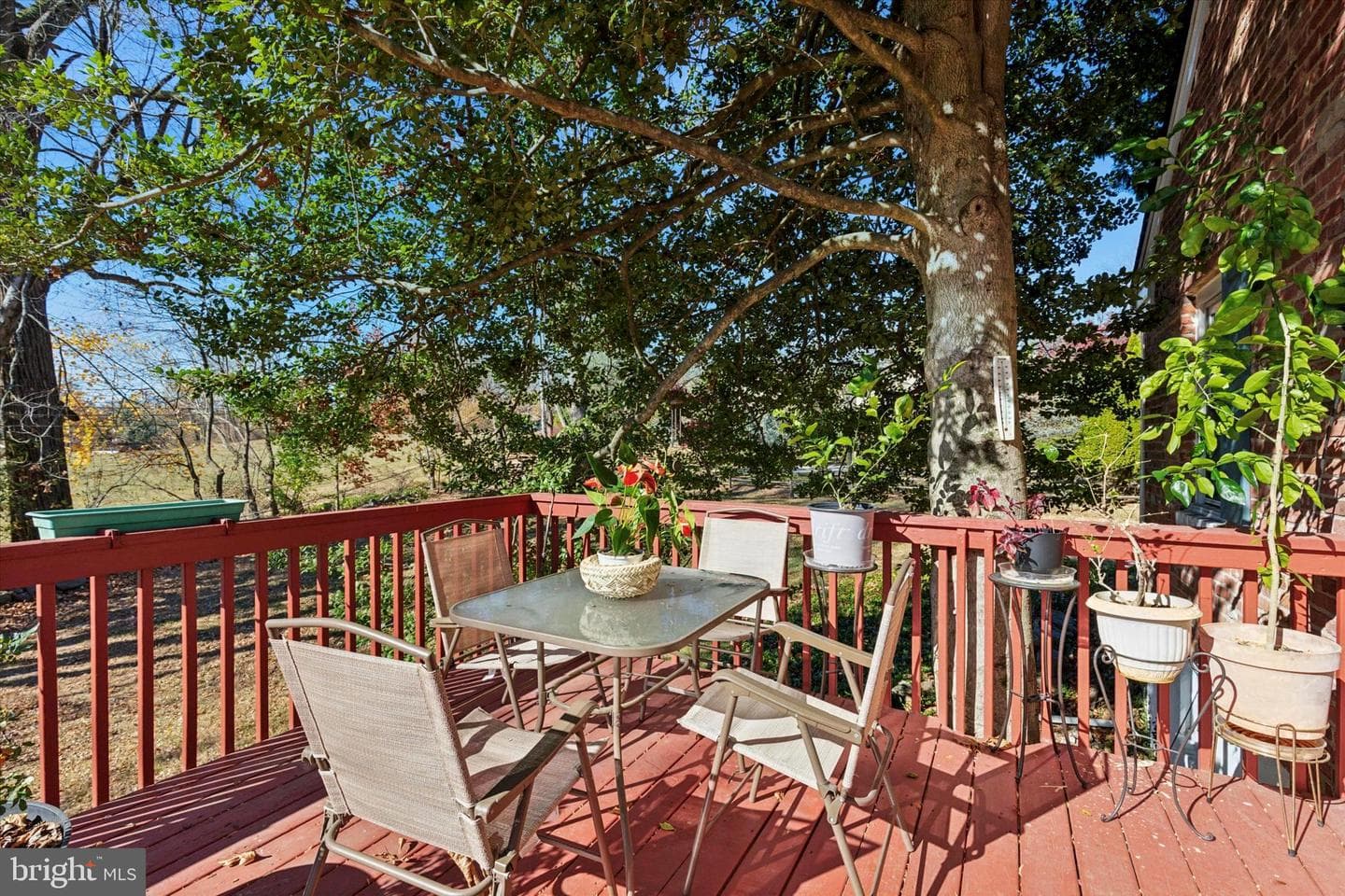 233 Sinkler Drive photo 11