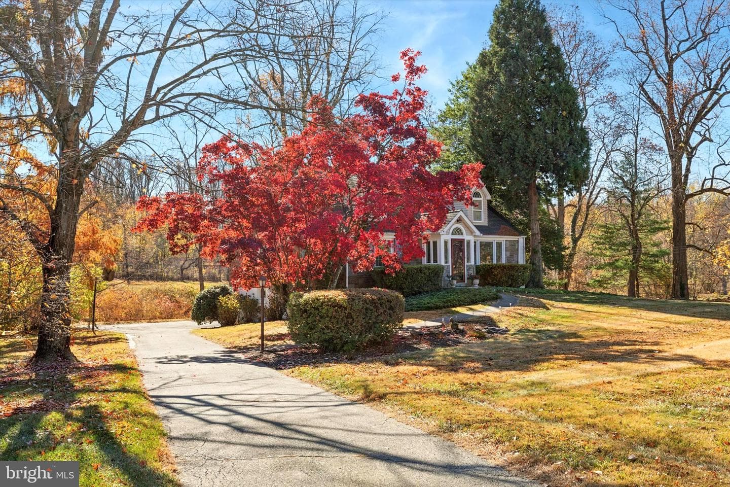 233 Sinkler Drive photo 2