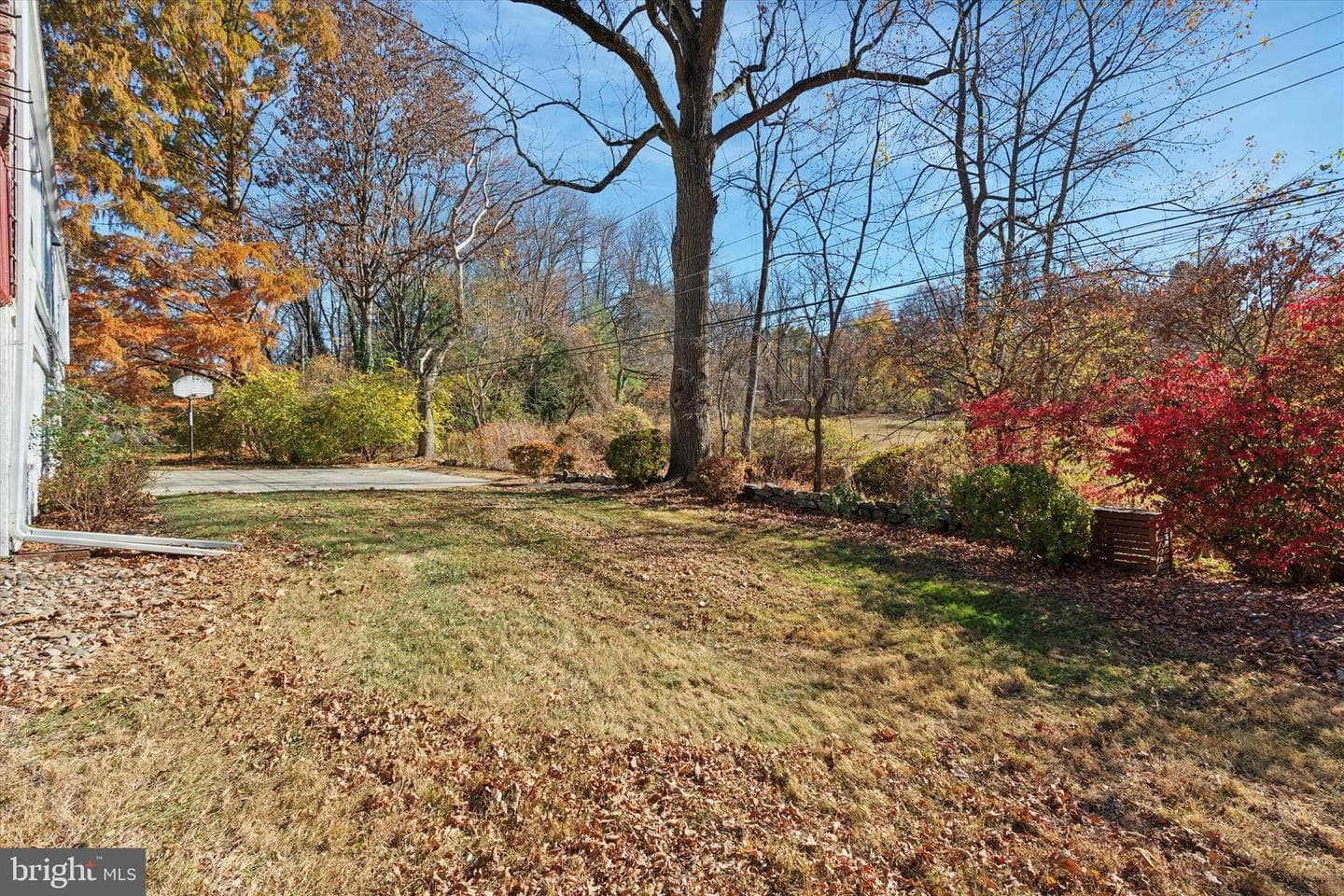 233 Sinkler Drive photo 41